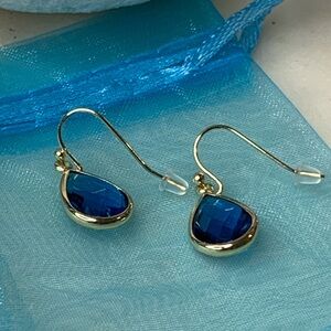 Mod Teardrop Blue Natural Gemstone Drop Earrings